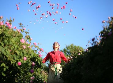 ROSE HARVEST &EGIRDIR LAKE &BEYSEHİR LAKE &LOTUS FLOWERS &STORKS VALLEY