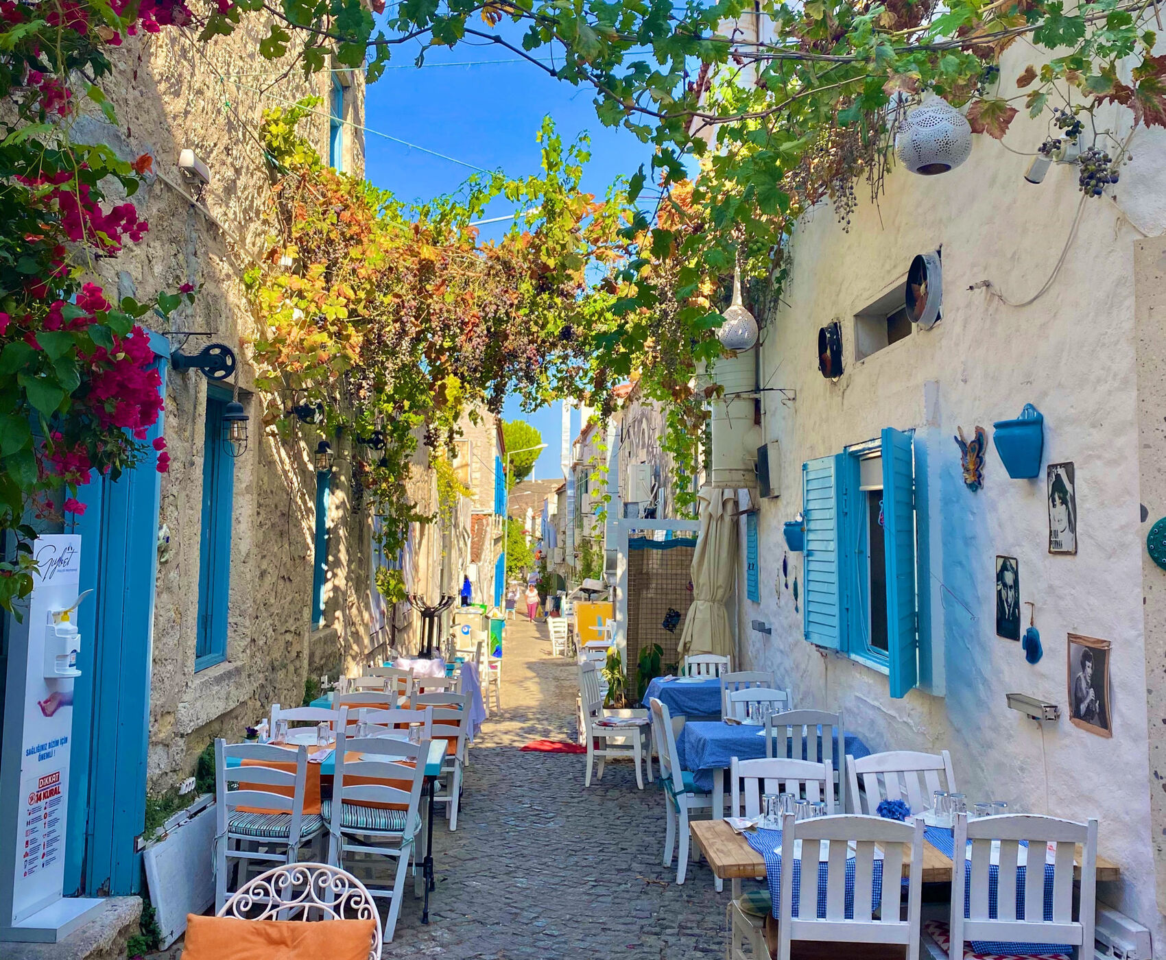 ALAÇATI HERB FESTIVAL AND AEGEAN TOUR