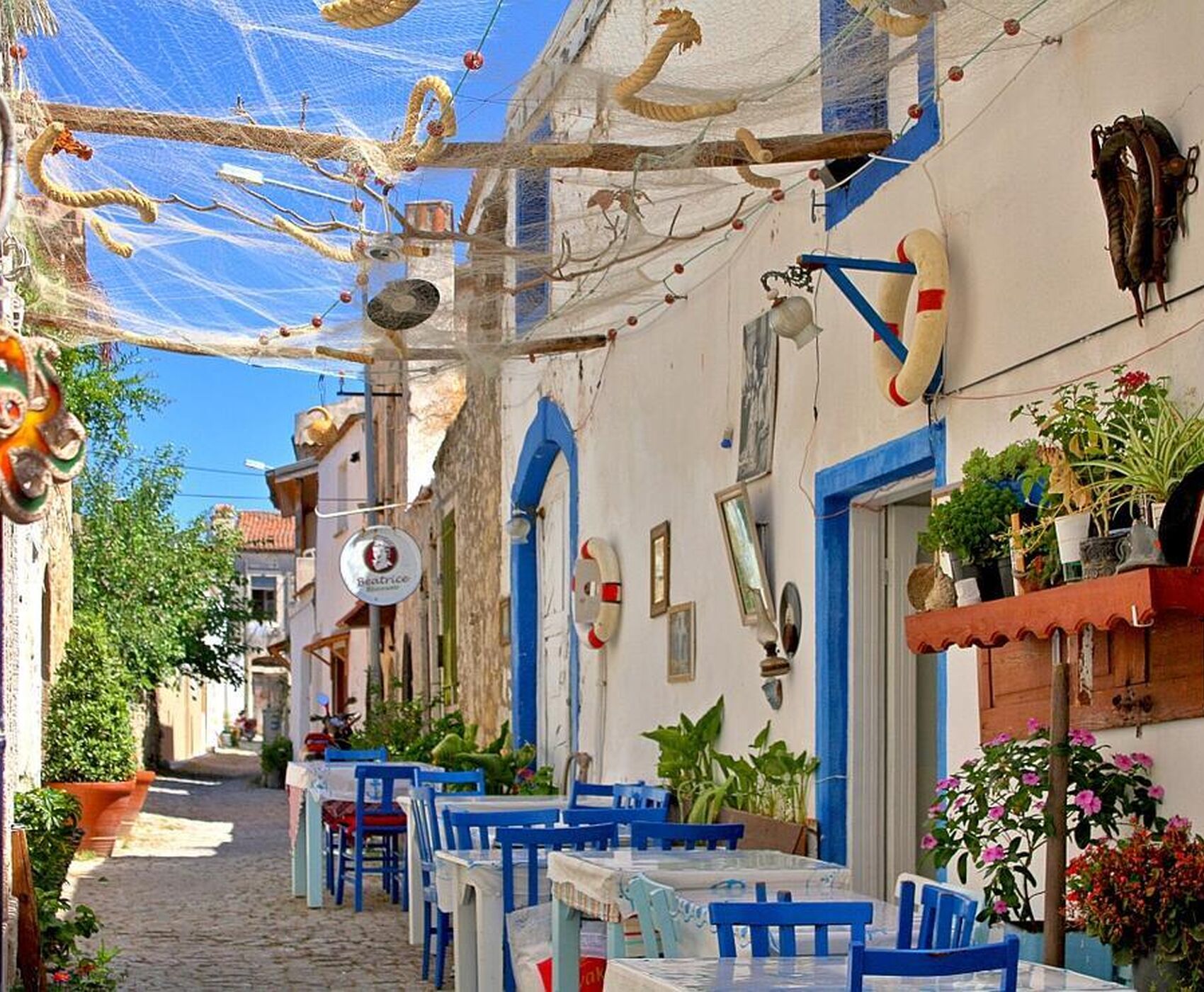 ALAÇATI HERB FESTIVAL AND AEGEAN TOUR