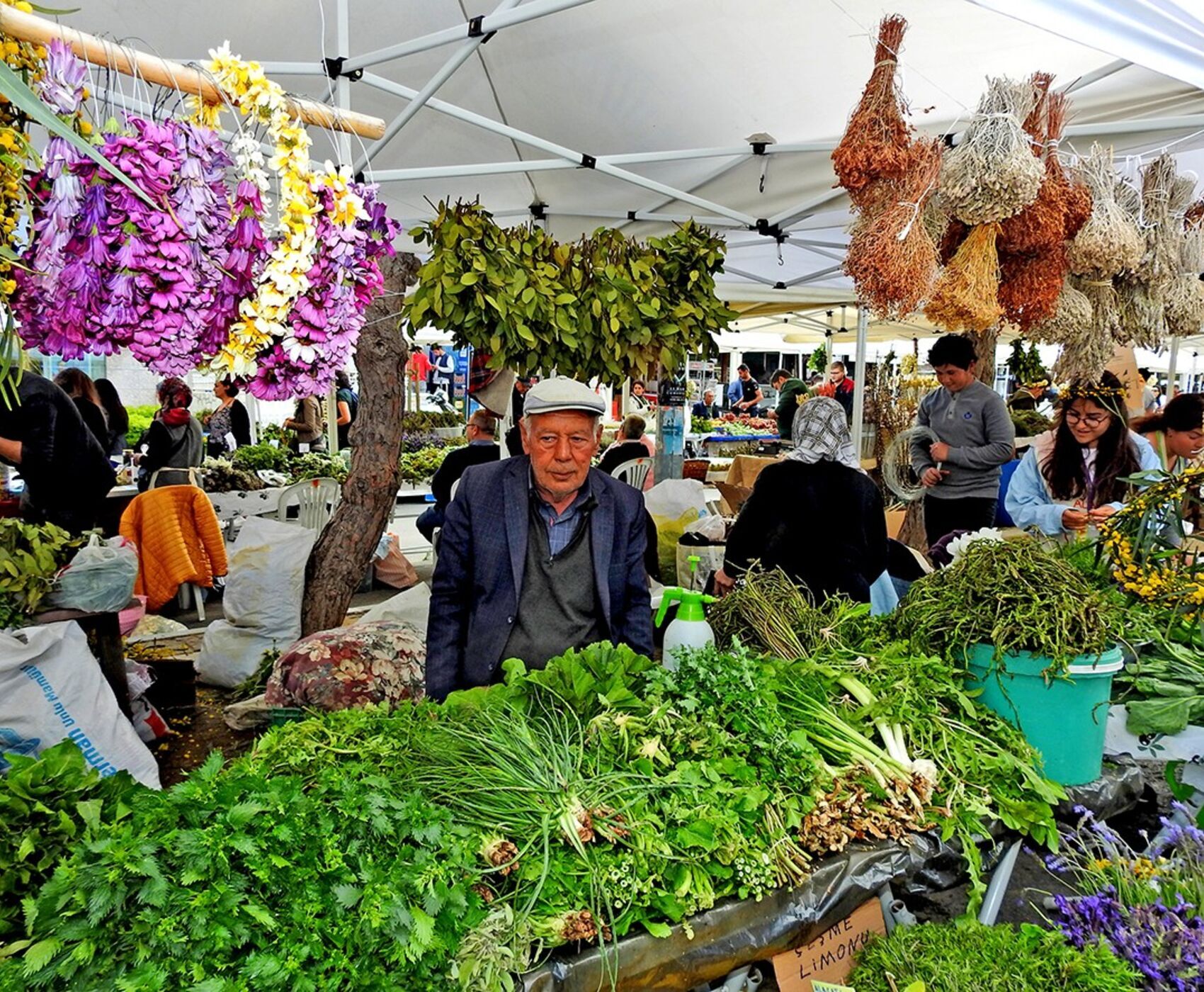 ALAÇATI HERB FESTIVAL AND AEGEAN TOUR