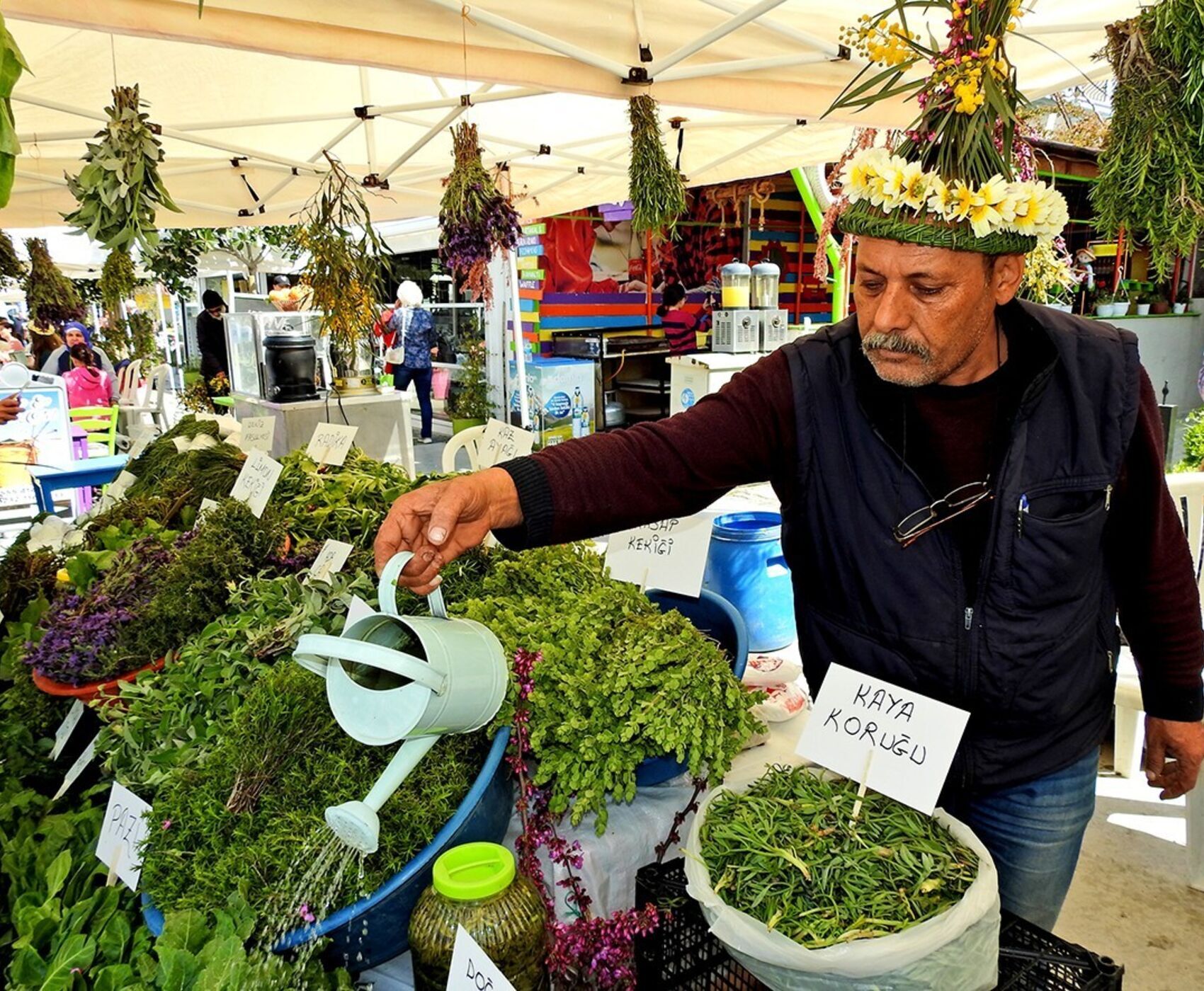 ALAÇATI HERB FESTIVAL AND AEGEAN TOUR