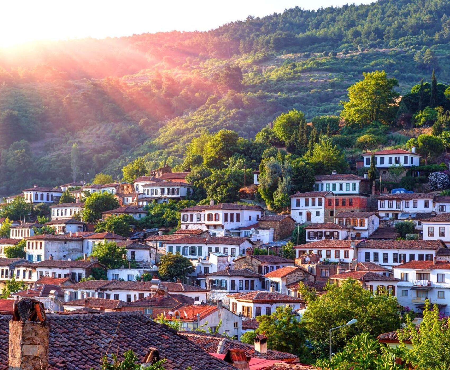 ALAÇATI HERB FESTIVAL AND AEGEAN TOUR