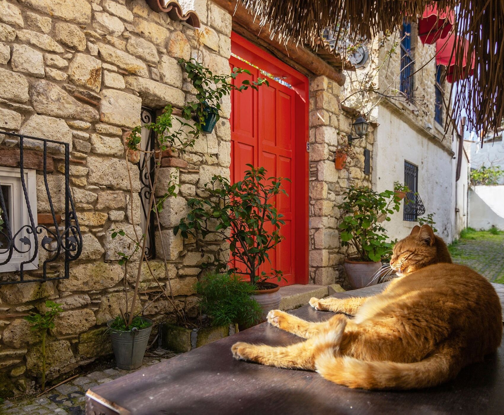 ALAÇATI HERB FESTIVAL AND AEGEAN TOUR