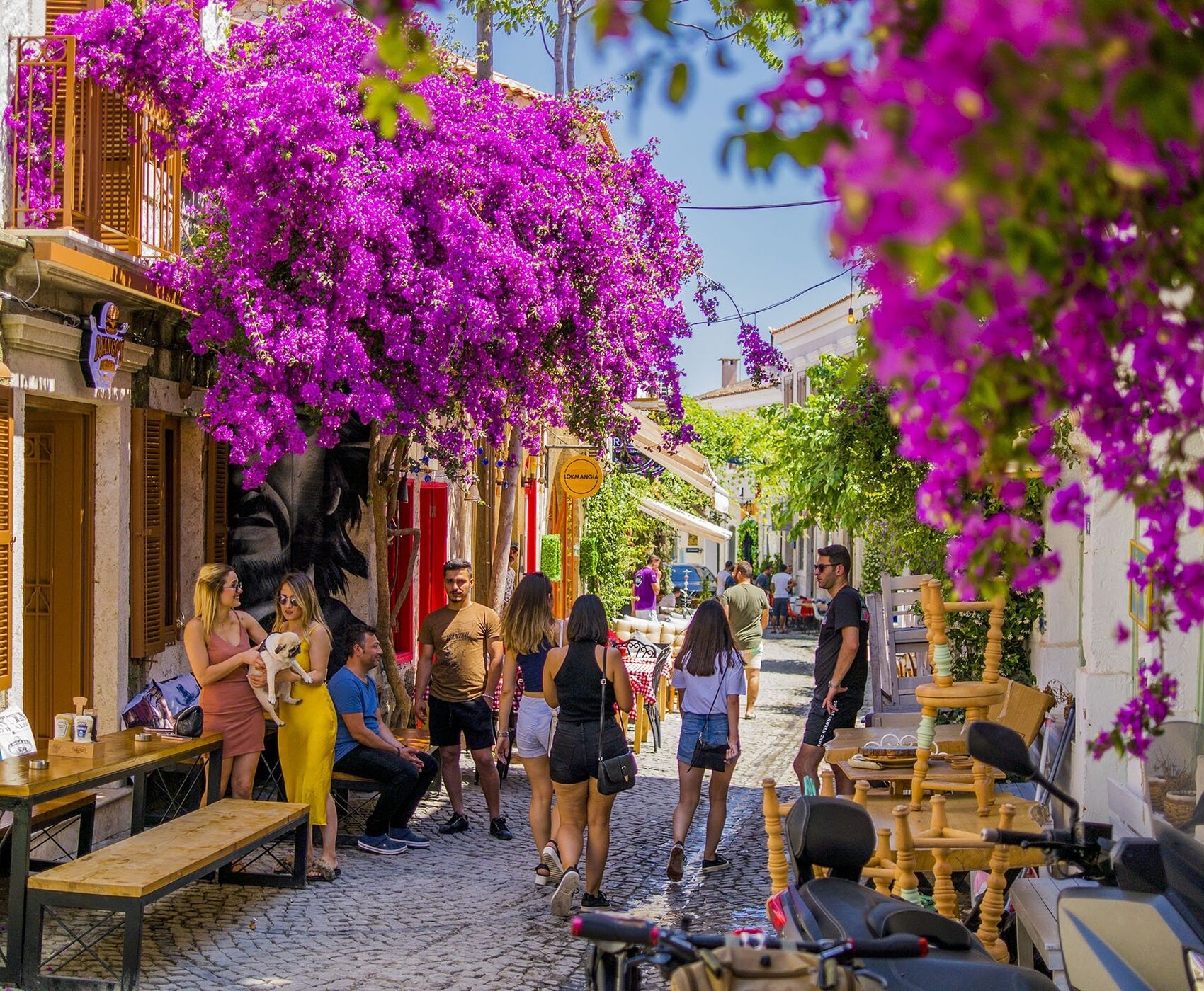 ALAÇATI HERB FESTIVAL AND AEGEAN TOUR