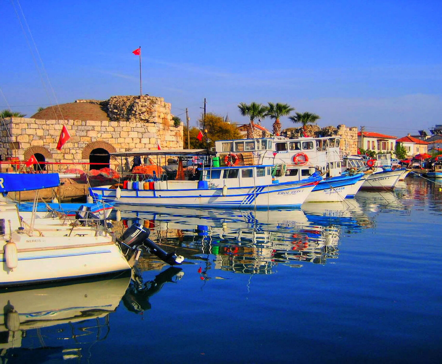 ALAÇATI HERB FESTIVAL AND AEGEAN TOUR