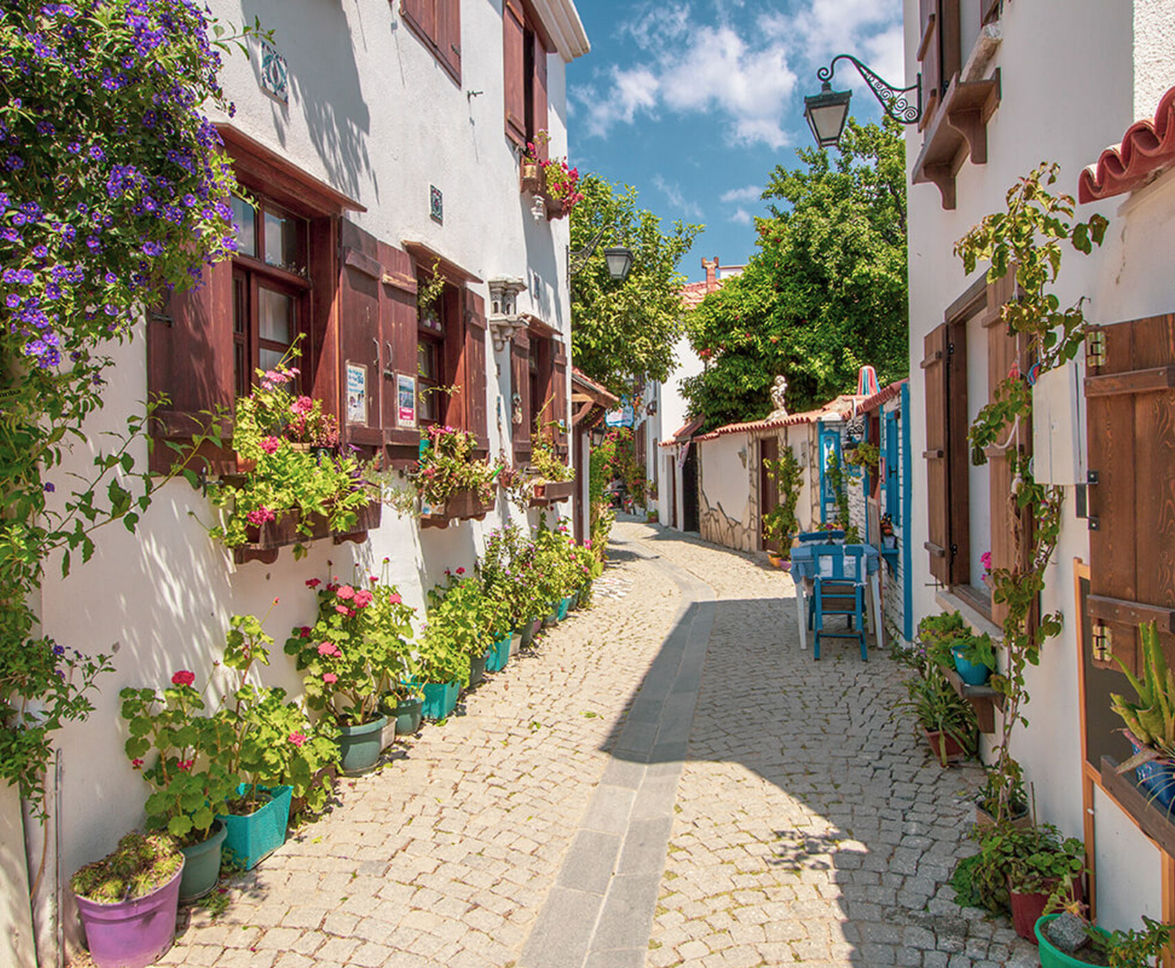 ALAÇATI HERB FESTIVAL AND AEGEAN TOUR