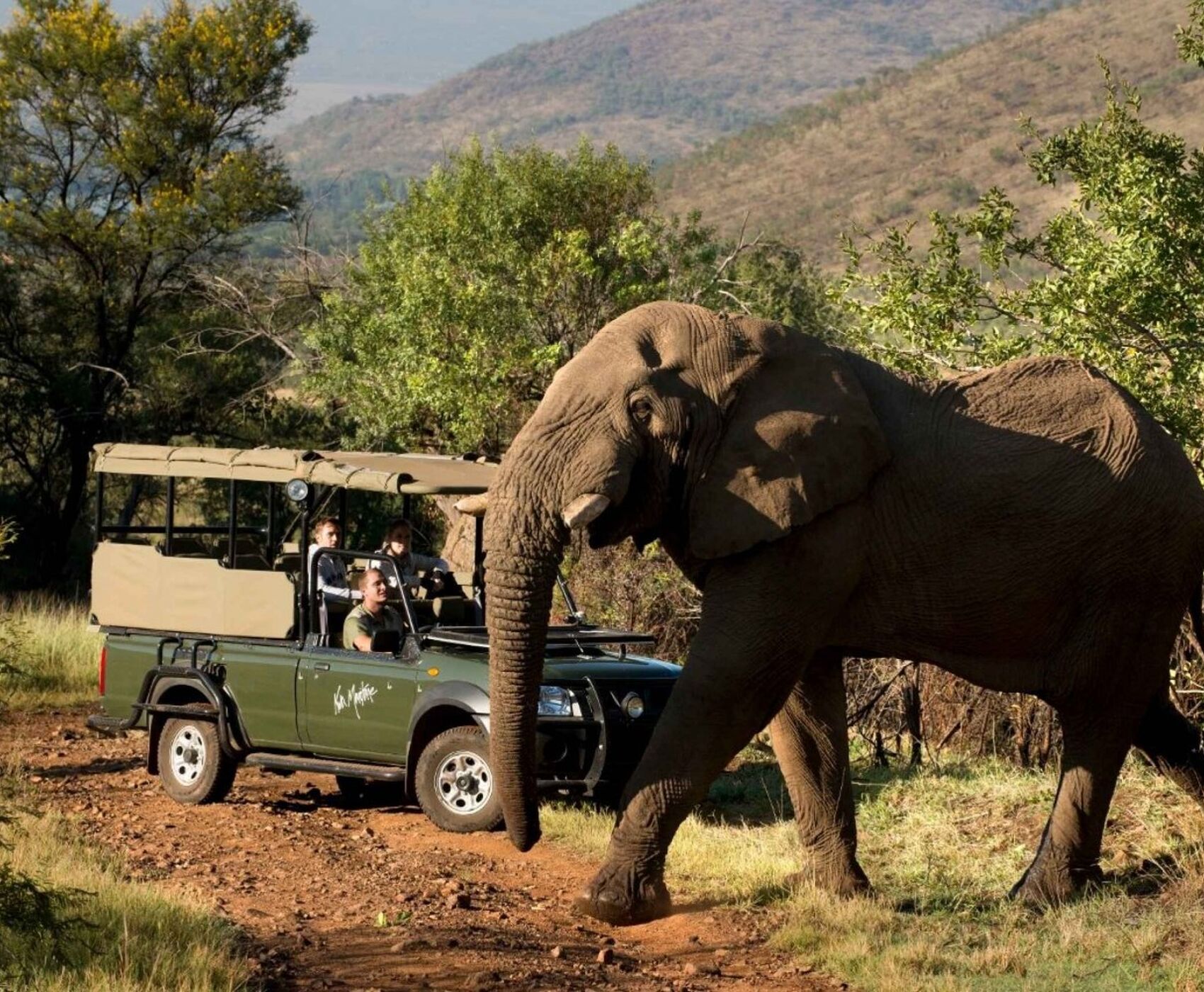 SOUTH AFRICA (VICTORIA WATERFALLS - ZAMBIA) TOUR BY FLIGHT