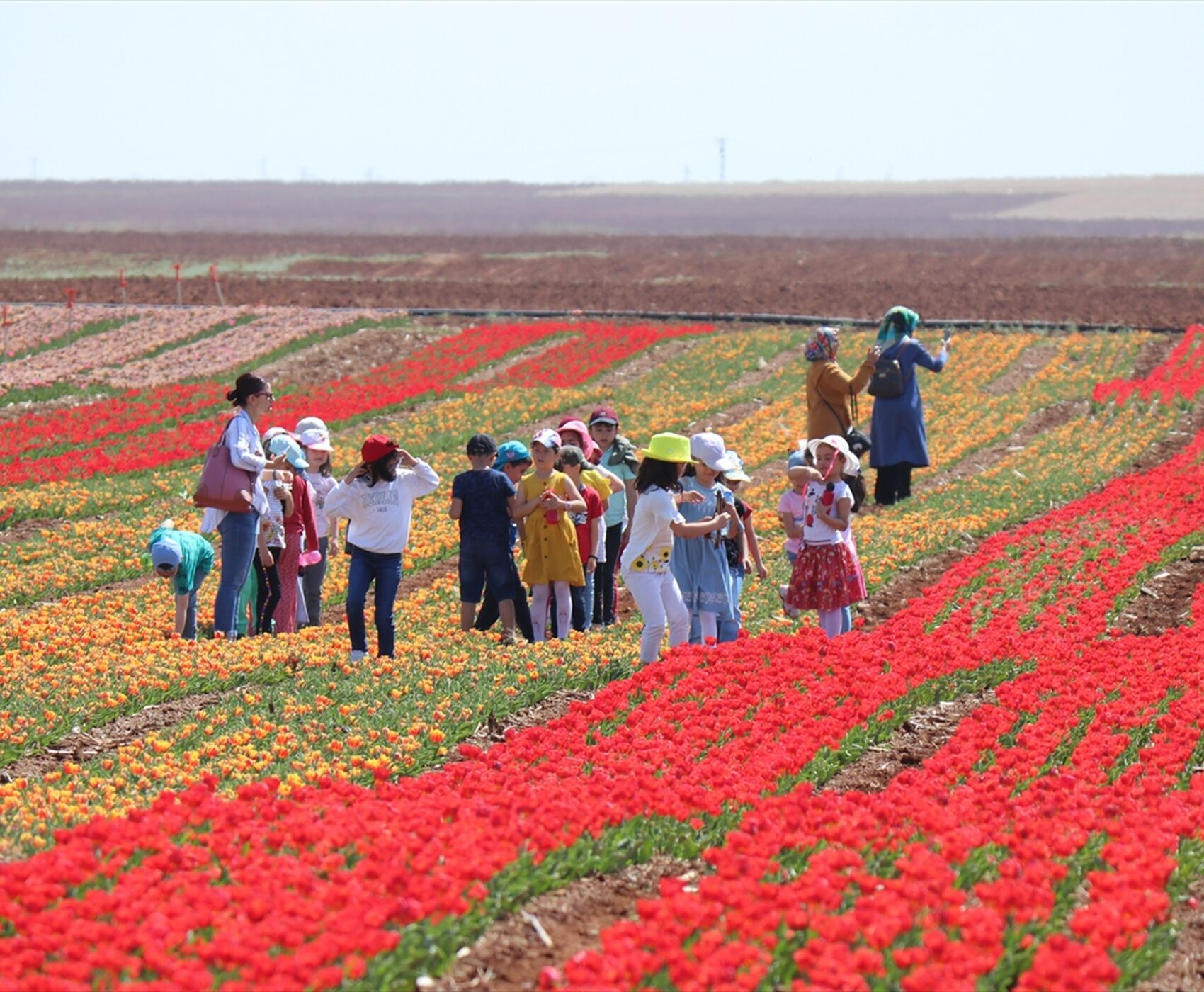 TULIP GARDENS & KARAMAN & TAŞKALE GRANARIES