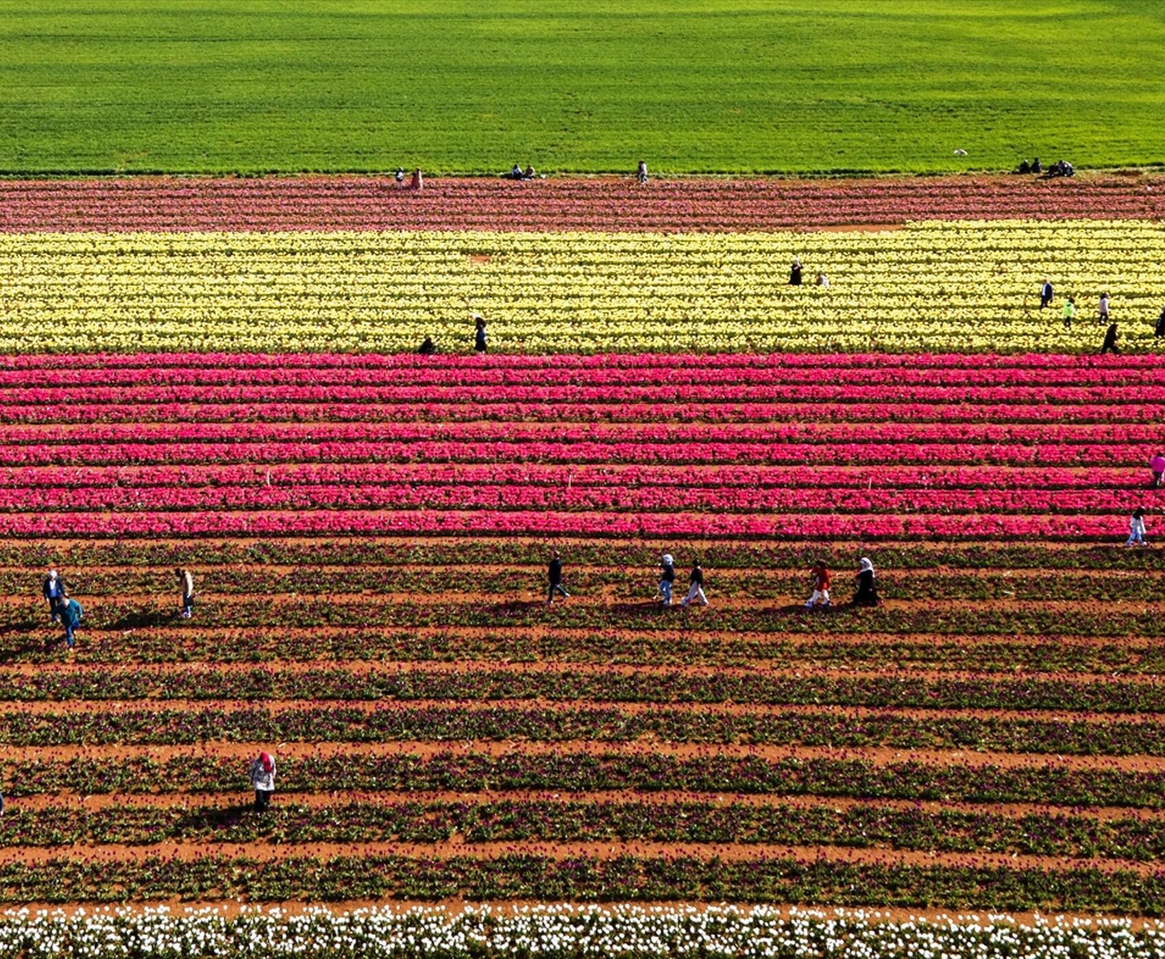 TULIP GARDENS & KARAMAN & TAŞKALE GRANARIES