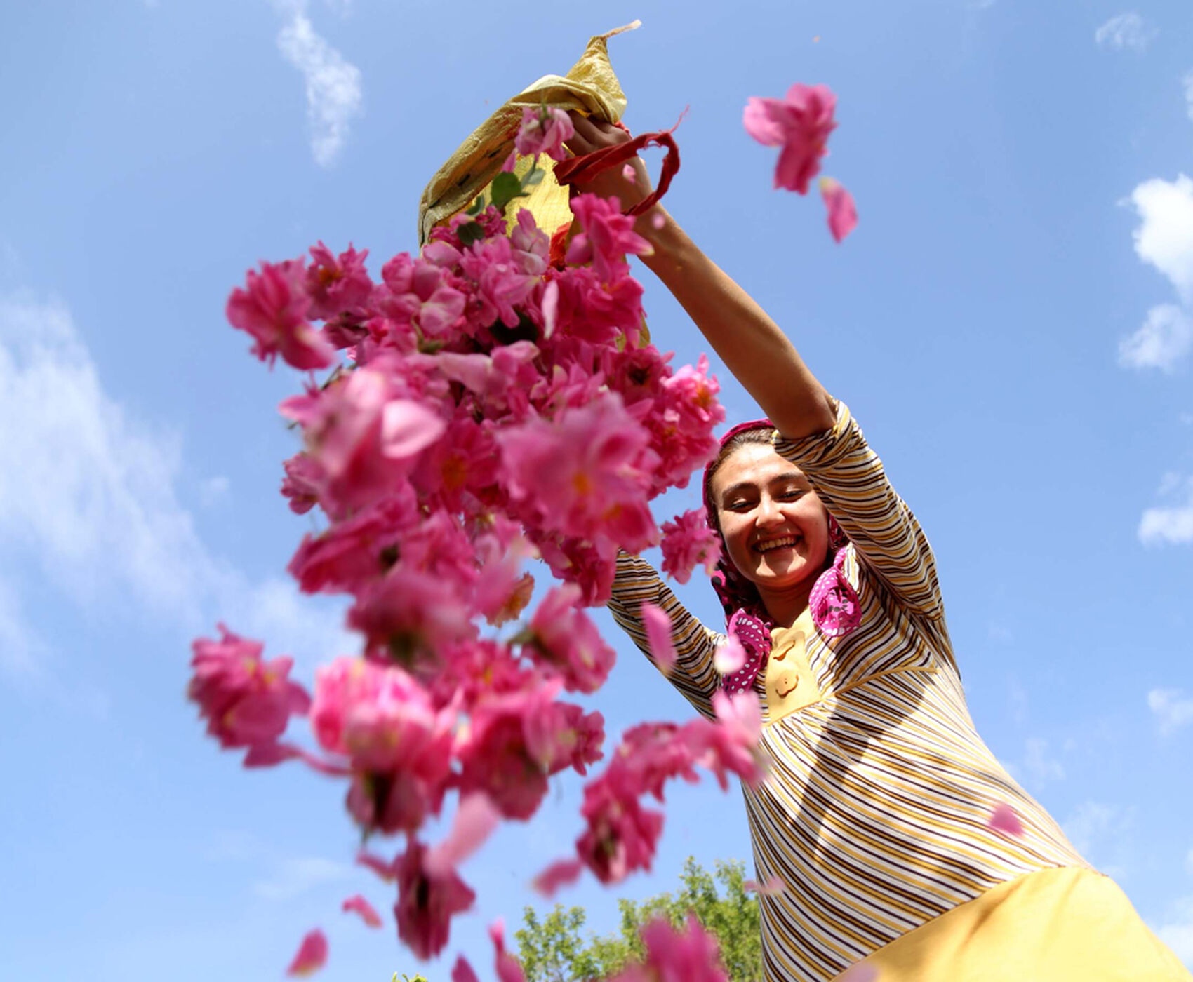 ROSE HARVEST & EGIRDIR LAKE & BEYSEHİR LAKE & LOTUS FLOWERS & STORKS VALLEY