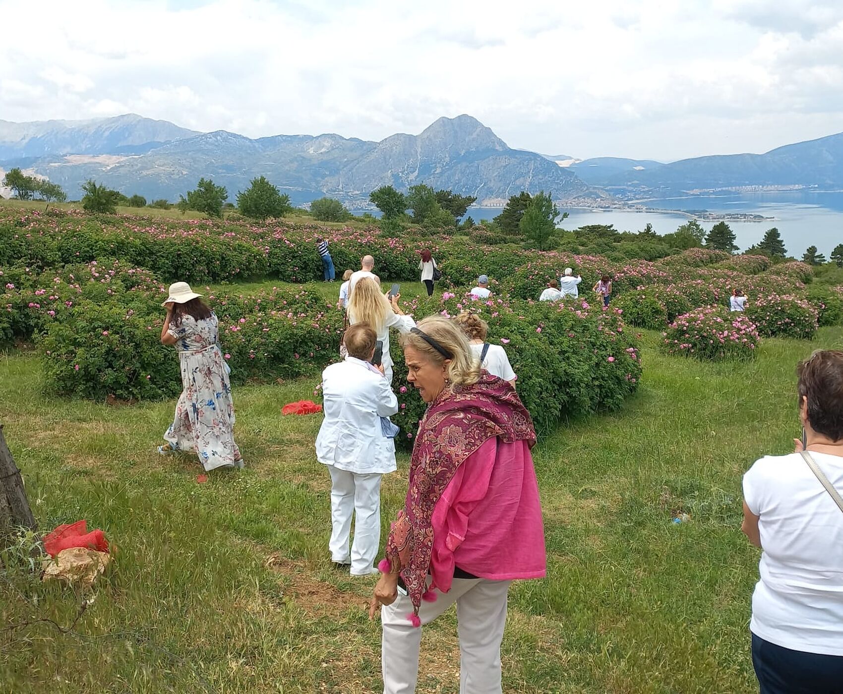 ROSE HARVEST & EGIRDIR LAKE & BEYSEHİR LAKE & LOTUS FLOWERS & STORKS VALLEY