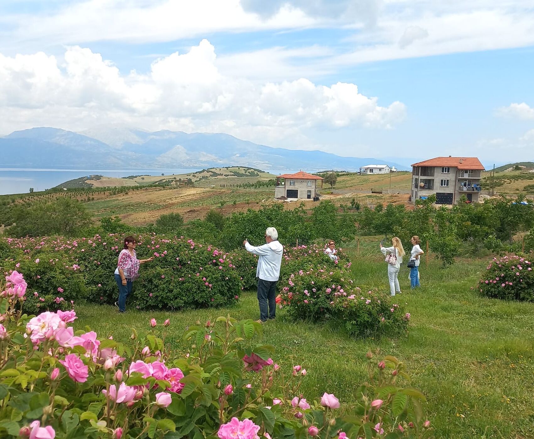 ROSE HARVEST & EGIRDIR LAKE & BEYSEHİR LAKE & LOTUS FLOWERS & STORKS VALLEY