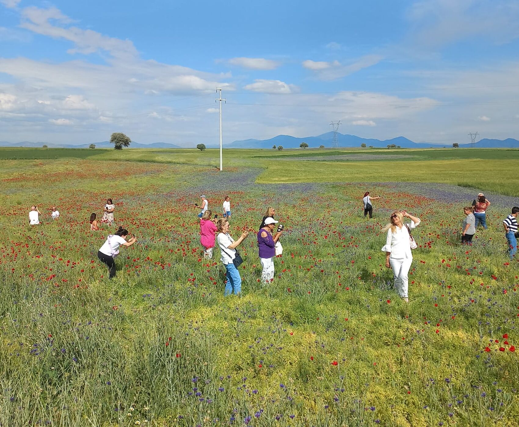 ROSE HARVEST & EGIRDIR LAKE & BEYSEHİR LAKE & LOTUS FLOWERS & STORKS VALLEY