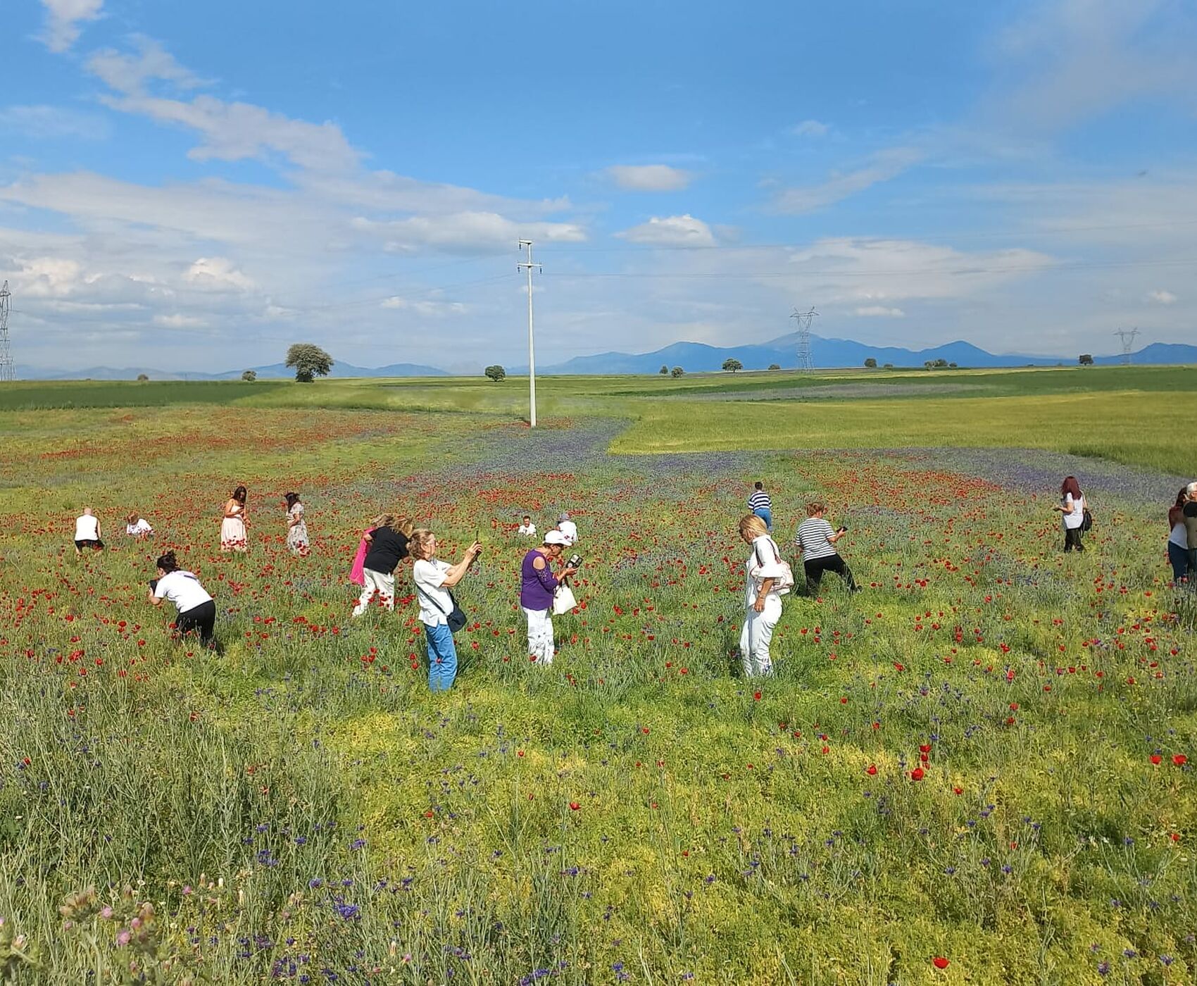 ROSE HARVEST & EGIRDIR LAKE & BEYSEHİR LAKE & LOTUS FLOWERS & STORKS VALLEY