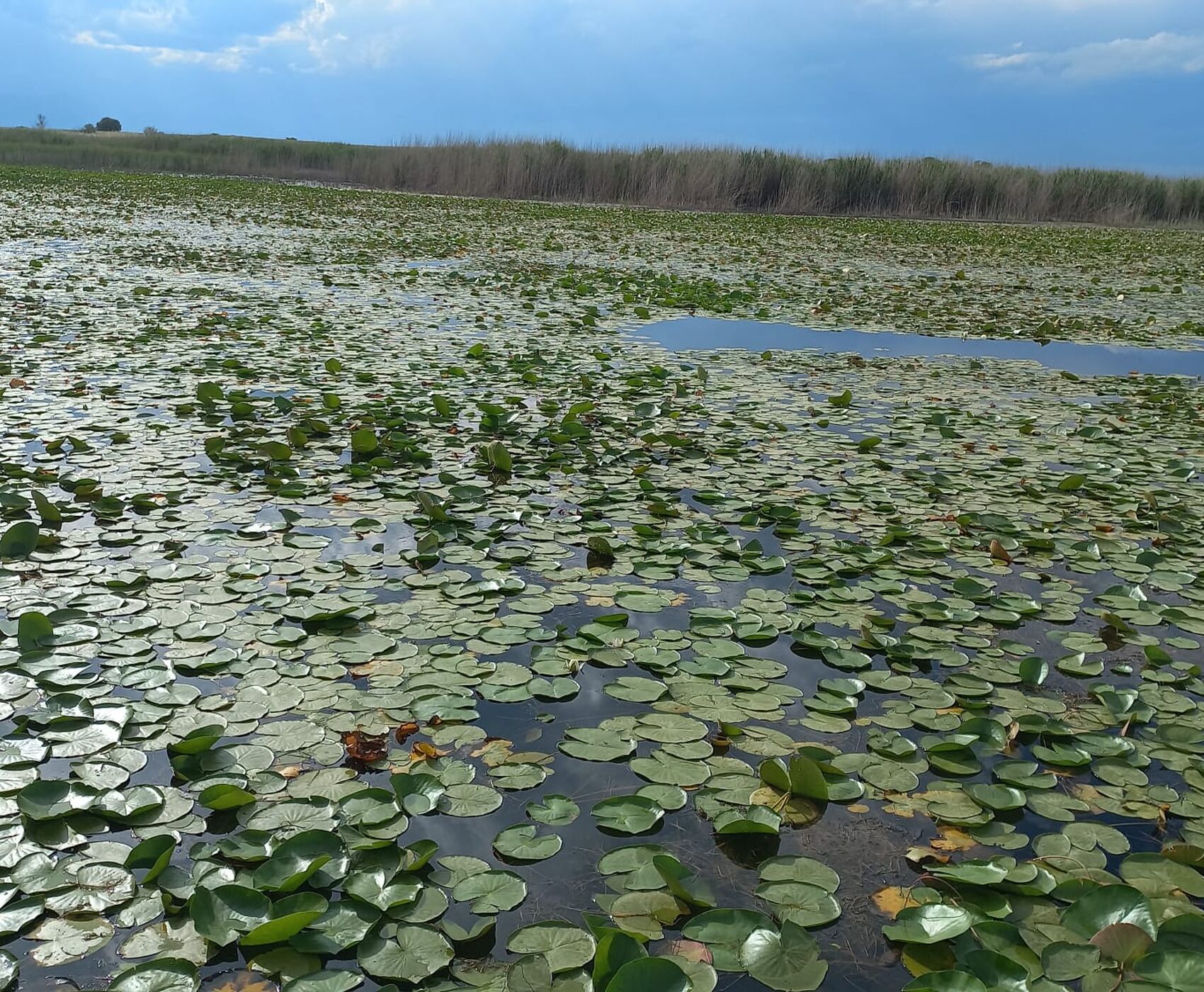 ROSE HARVEST & EGIRDIR LAKE & BEYSEHİR LAKE & LOTUS FLOWERS & STORKS VALLEY